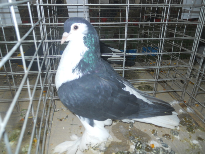 DSCN0956