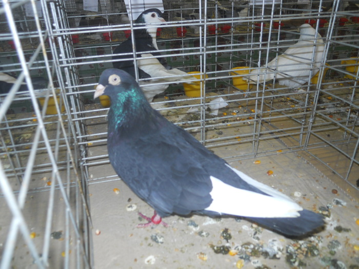 DSCN0961