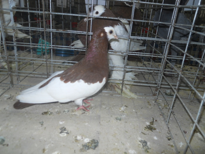 DSCN0967