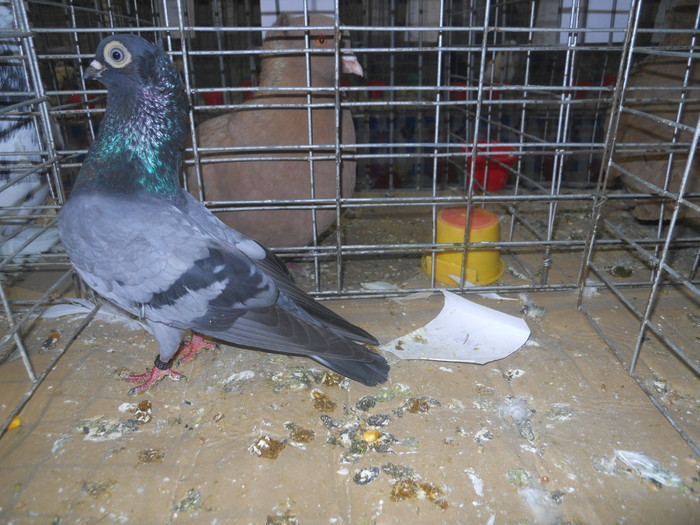 DSCN0970