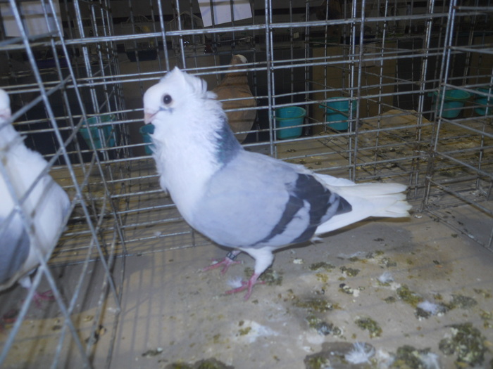 DSCN0971