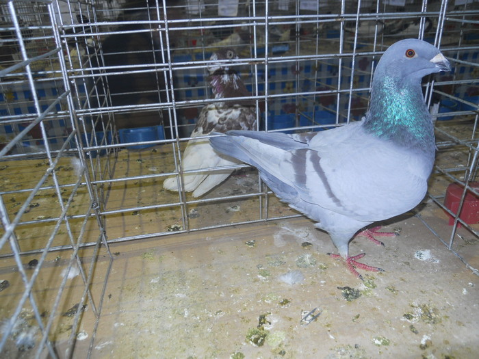 DSCN0975