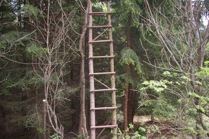 Pesztergei les - Pesztergei les