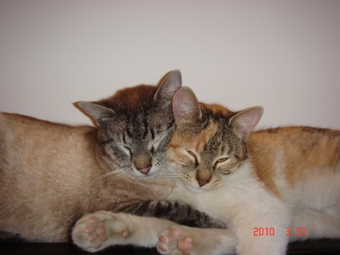 Fetita si Margeluta ( Baiatu')