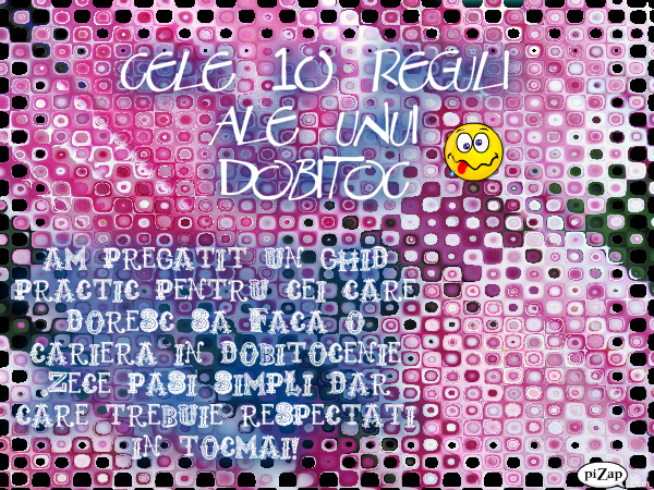 pizap.com12904418693241 - 00 10 PASI PENTRU A DEVENII DOBITOC 00