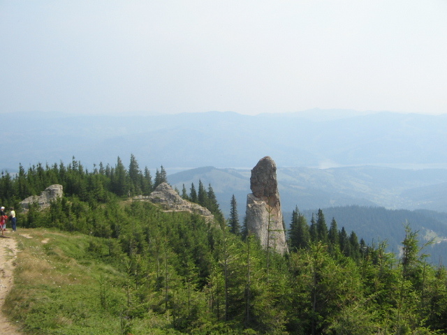 IMG_0060; Cuşma Dorobanţului
