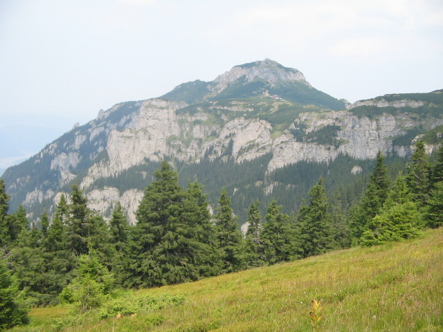 IMG_0087; Vârful Toaca
