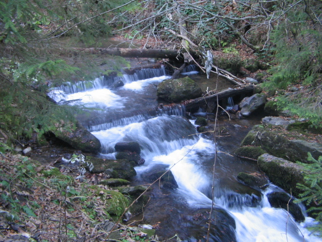 IMG_3678 - Cascada Vălul Miresei 1