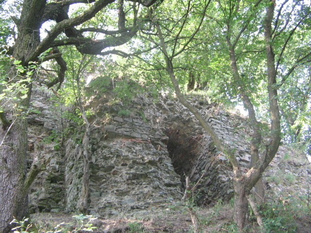 IMG_0628 - Cetatea Șoimoș