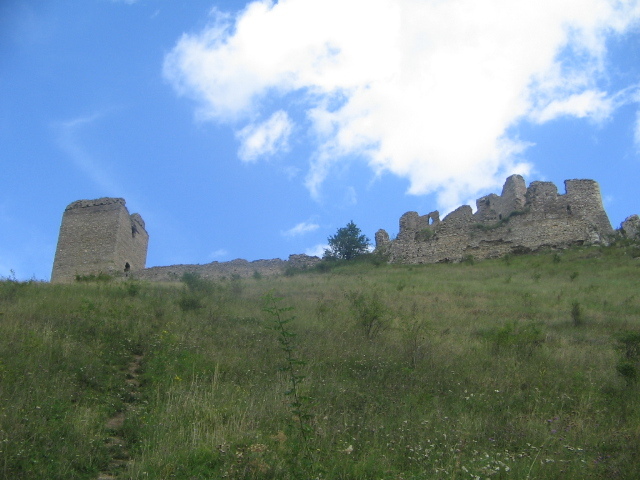 IMG_3427 - Cetatea Trascăului