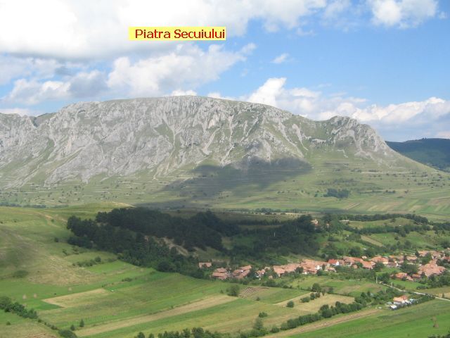 IMG_3432 - Cetatea Trascăului