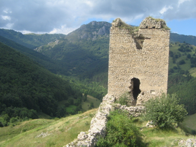 IMG_3434 - Cetatea Trascăului