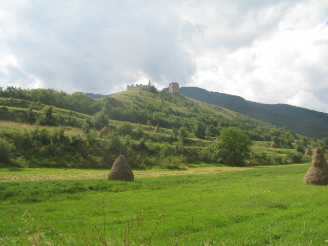 IMG_3440 - Cetatea Trascăului