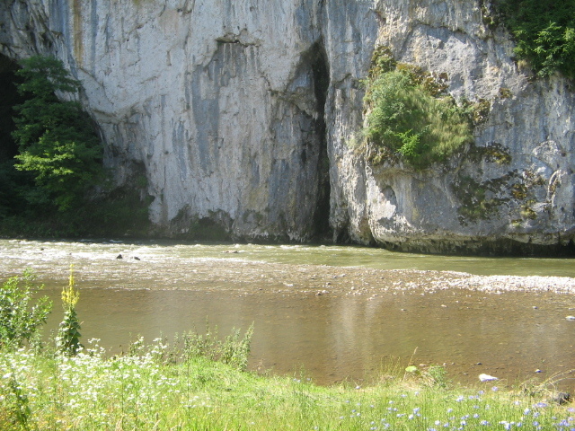 IMG_2379 - Șuncuiuș