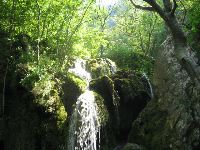 IMG_0850; Cascada Beuşniţa II
