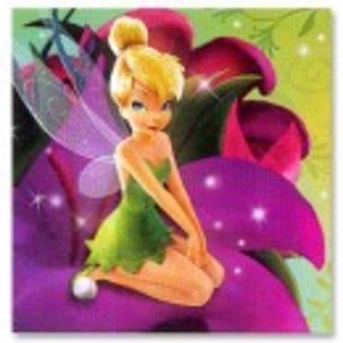 335942-678QL72E46FR2TUNL7FHKWYPT - TinkerBell