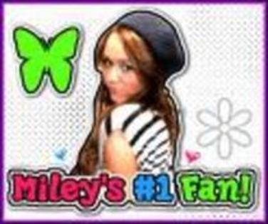 miley fan#1