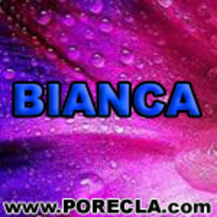 526-BIANCA ingineru