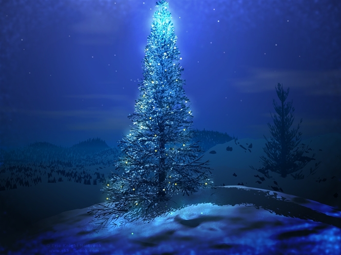 Christmas (14)