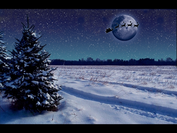 Christmas (61)