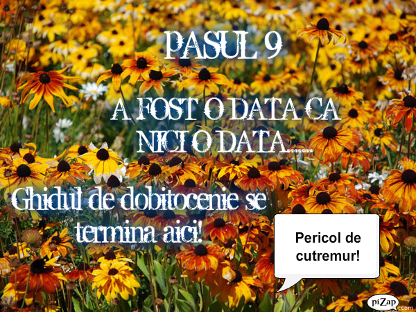 pizap.com12904437153991 - 00 10 PASI PENTRU A DEVENII DOBITOC 00