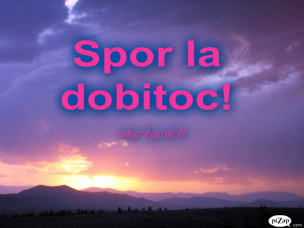 pizap.com12904445503491 - 00 10 PASI PENTRU A DEVENII DOBITOC 00