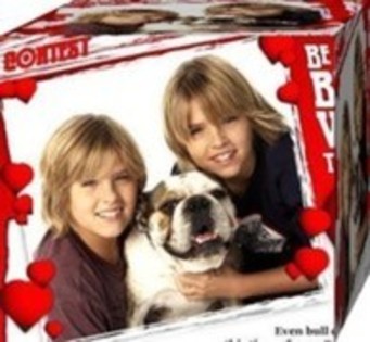 ZQNMIXPFGPLKEORPVDQ - zack si cody o viata minunata