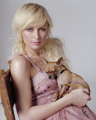 paris-hilton-443337l-poza - poze Paris Hilton