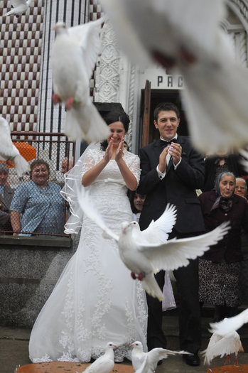 carmen_clau_358 - porumbei albi pentru nunti