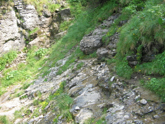 IMG_0090; Cel mai periculos loc.Pentru trecere,ne ajutam de frânghiile de oţel.
