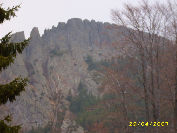 IMG_0141 - Creasta Cocoșului