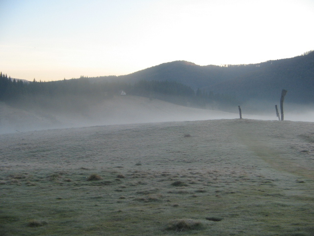 IMG_1793; O dimineaţă rece
