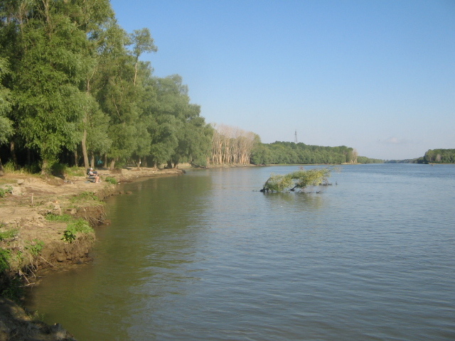 IMG_0085 - În Delta Dunării