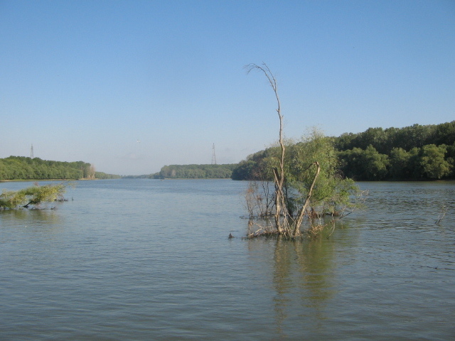IMG_0086 - În Delta Dunării