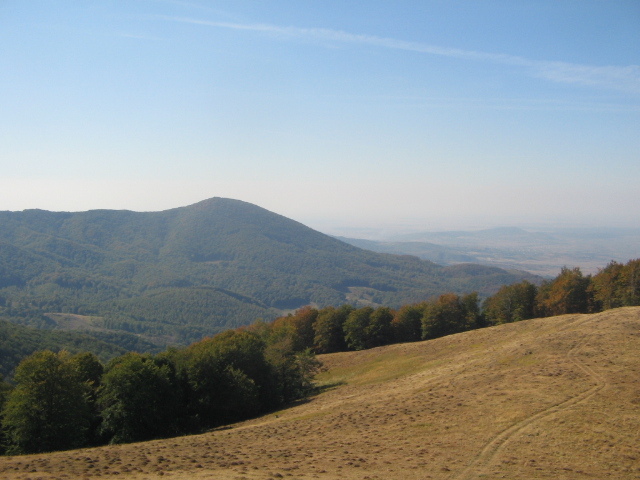 IMG_1543; Vârful Mica, lângă fostele băi Puturoasa.
