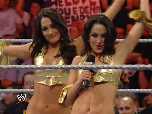 14 - The Bella Twins