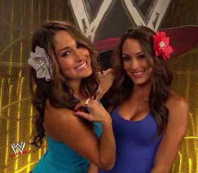 18 - The Bella Twins