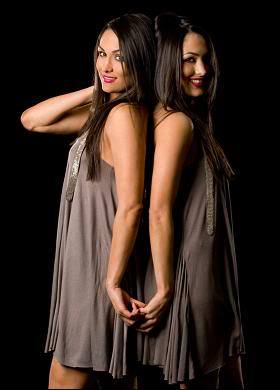 Bella_Twins_781019a