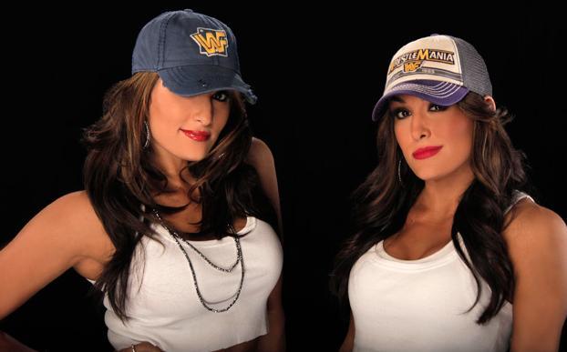 bella~1 - The Bella Twins