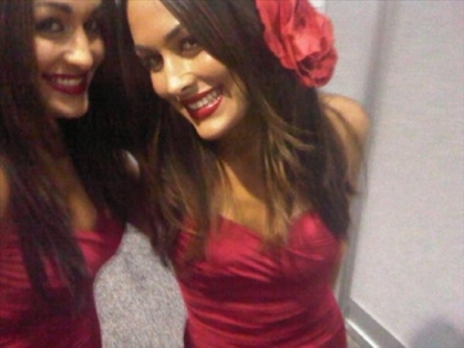 normal_1~35 - The Bella Twins
