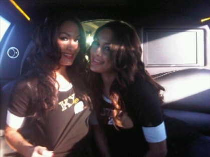 normal_3 - The Bella Twins