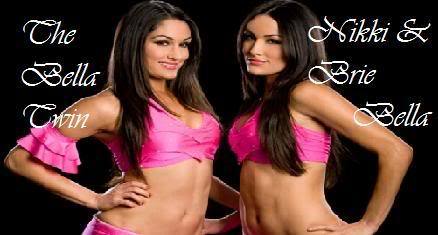 twins (1) - The Bella Twins