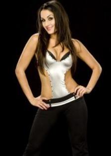 nxs-AJNAJGYOL2_pic018 - The Bella Twins