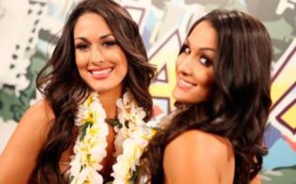 nxs-e20d40bacac9 - The Bella Twins