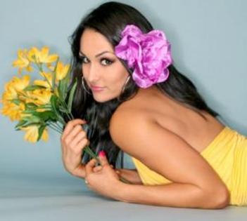 nxs-JVUBLJRLZB_pic008 - The Bella Twins