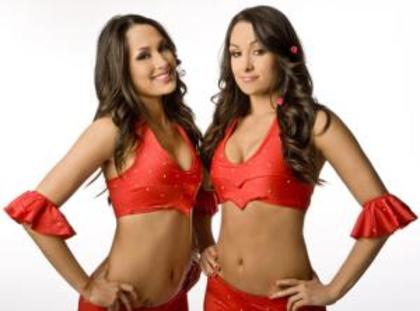 nxs-Pair1 - The Bella Twins