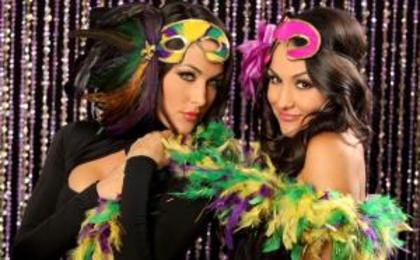 nxs-tbt2_mhbay46 - The Bella Twins