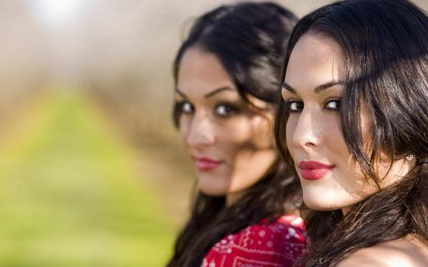 Bella_Twins_28 - 000-POZE