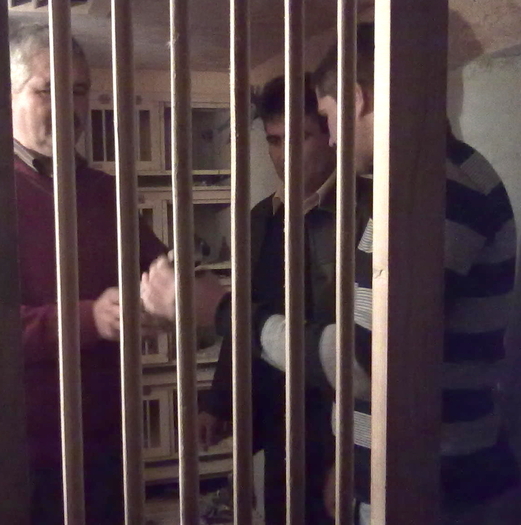 vizita...; o cresc.noua moderna,a prietenului Romica !loc.Dobra(DB)
