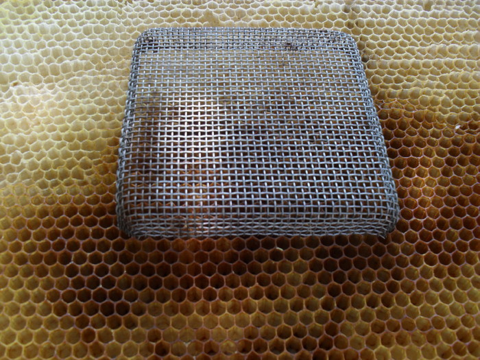 SDC10757; colivie pentru introducerea matcilor in familiile de albine.
